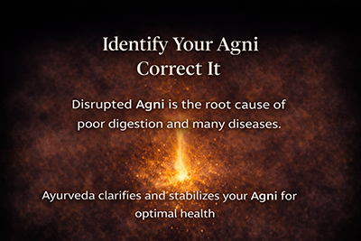 Agni-Wise Herbal Combinations – Anantya Healthcare OPC Pvt Ltd